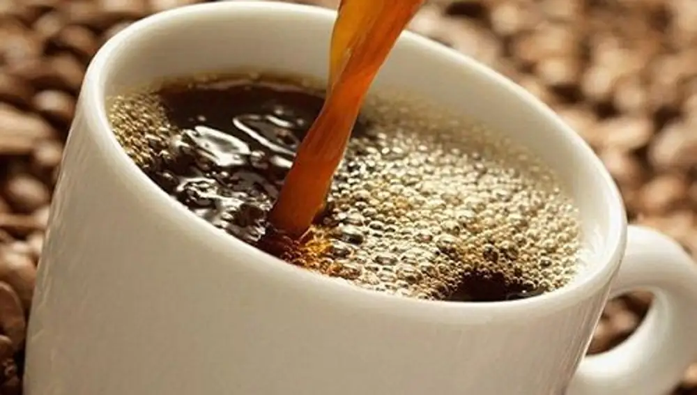Posso usar qualquer grão para máquina de café? - Blog Intercoffee