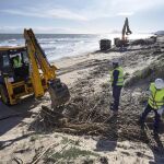 Vista general de las obras de emergencia que está realizando la dirección general de Costas en la playa de Daimús en Valencia tras el último temporal