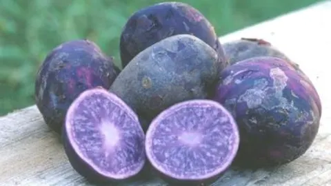 Patata azul