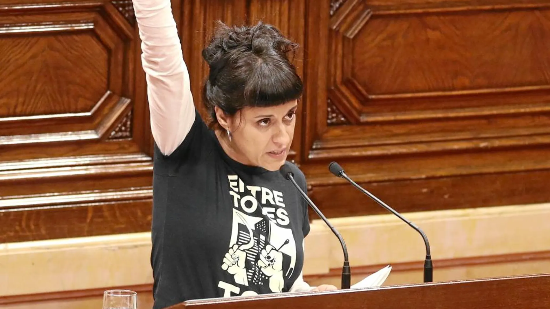 Anna Gabriel, ayer, durante su intervención en el Parlament