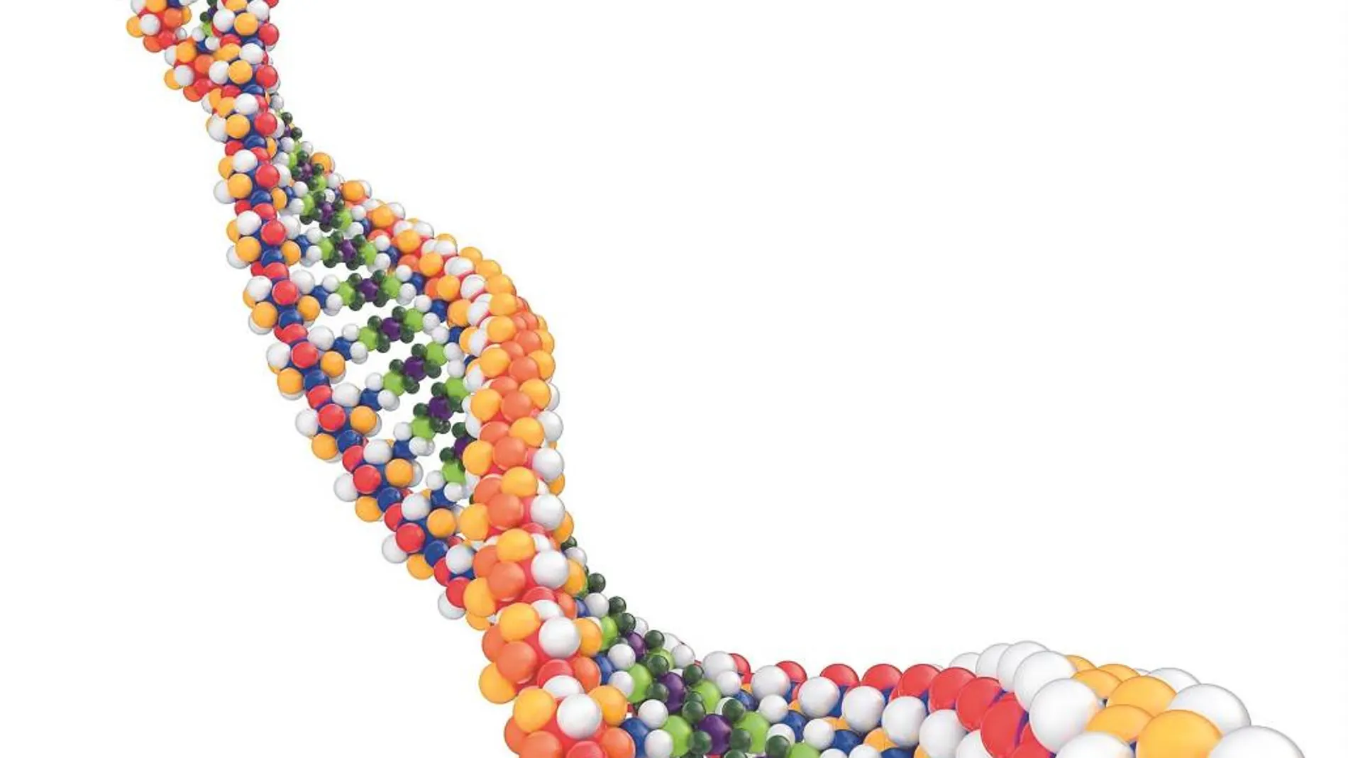 Oncología de precisión gracias al conocimiento del genoma