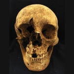 Calavera de uno de los esqueletos hallados en el cementerio romano de Casal Bertone (Italia)