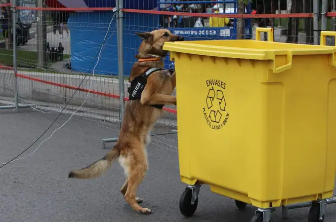 ¿Hasta donde llega el olfato de un perro policía?