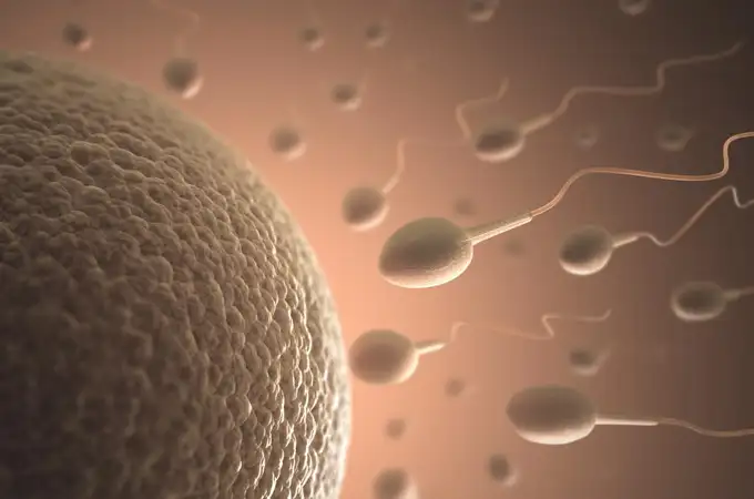 Infertilidad y cáncer de próstata