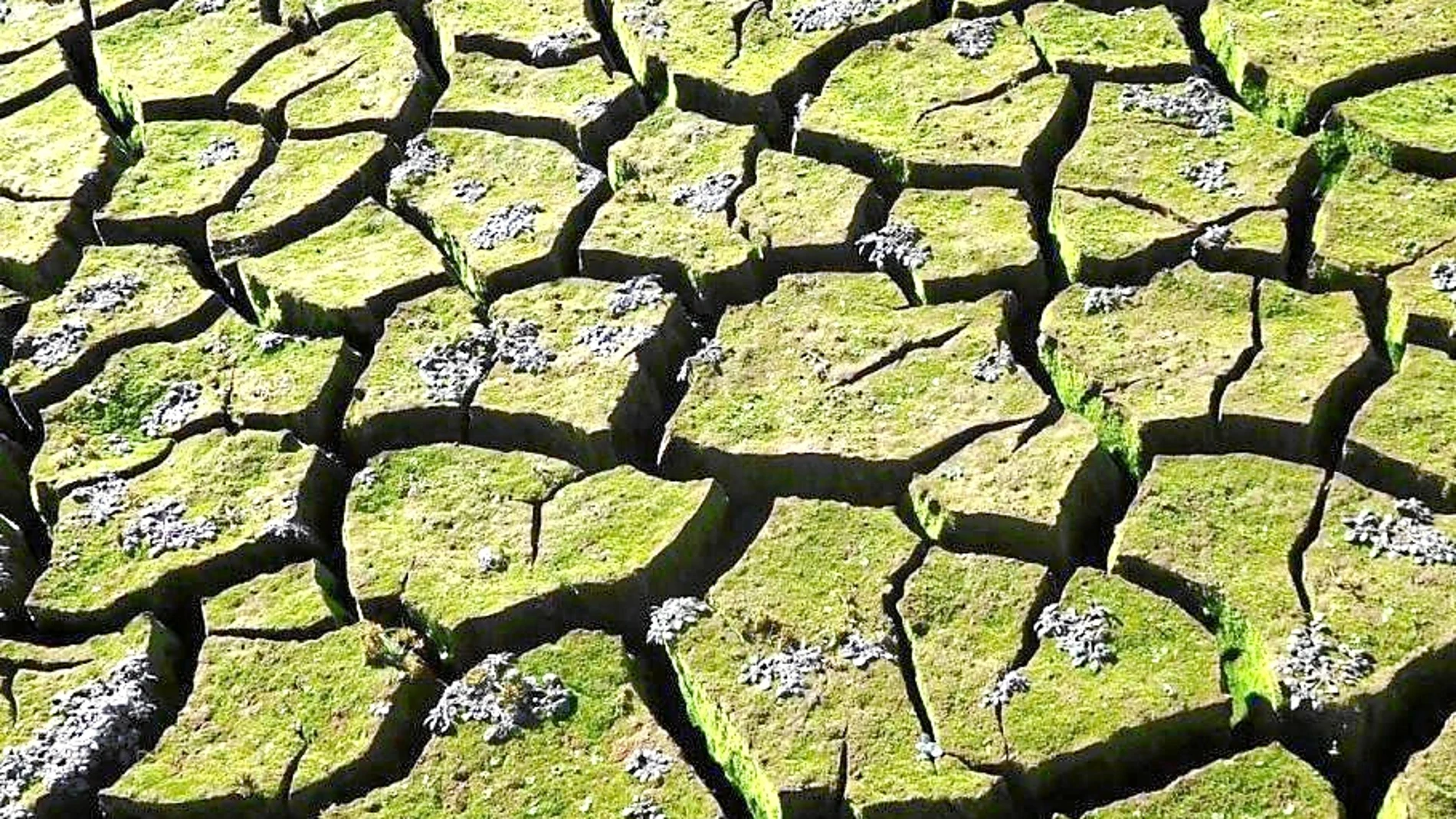 Los problemas climáticos tienen un grave problema de cara a la opinión pública.