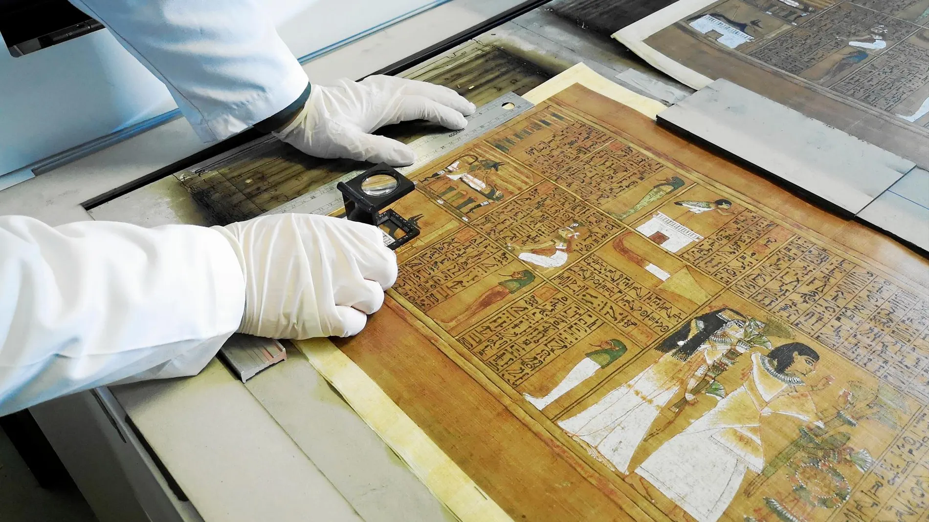 La primera dificultad con que se encontraron los editores fue importar desde Egipto los 72.000 pliegos de papiro que necesitaban para los facsímiles.