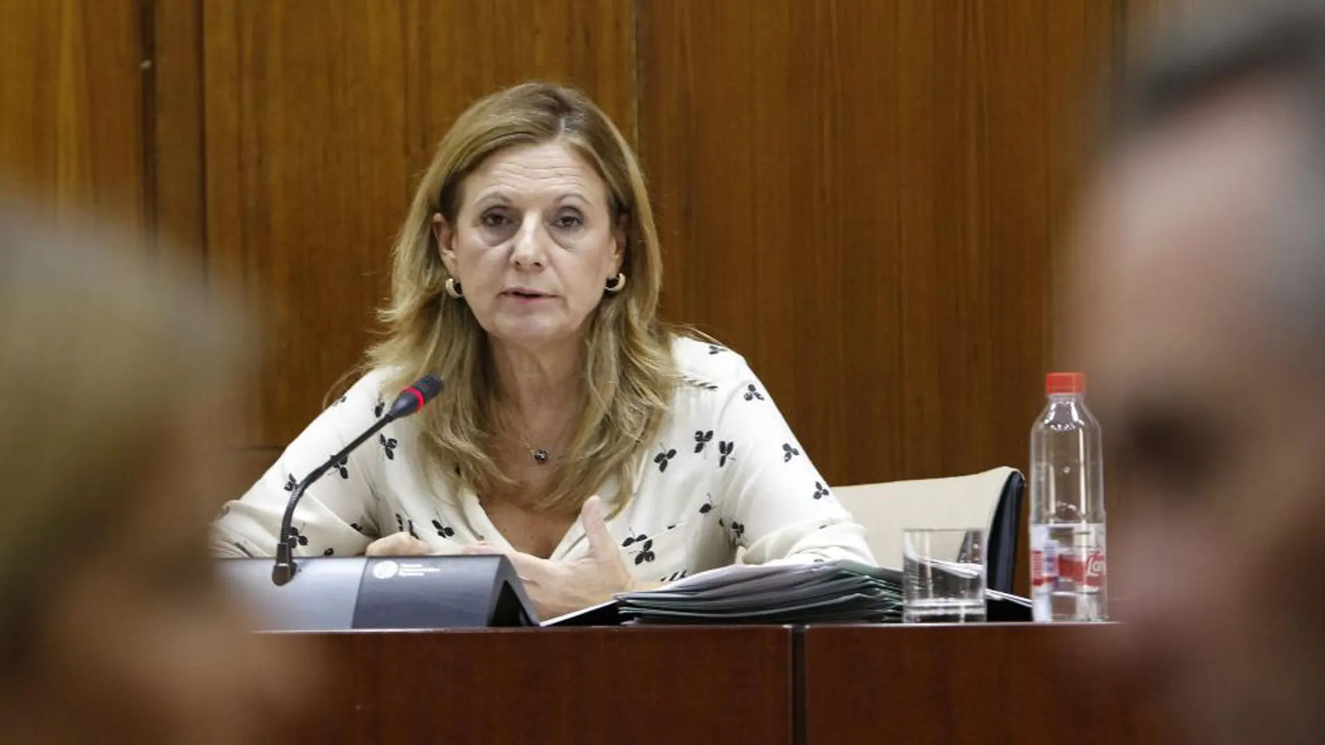 La Consejería de Salud está capitaneada en la actualidad por Marina Álvarez (Foto: Manuel Olmedo)