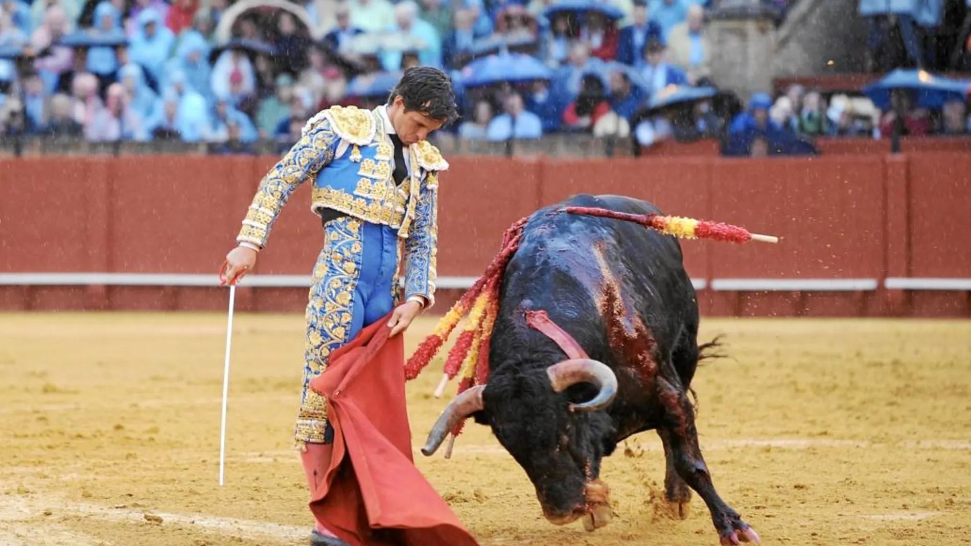 El Juli vuelve a brillar con luz propia bajo la lluvia en Sevilla, y fue con «Estrella» de Garcigrande con el que destelló con capote, muleta y espada