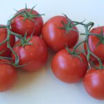 Tomate: descubren cómo recuperar su sabor tradicional