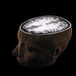 Europa y EEUU se lanzan a la carrera para apoderarse de los secretos del cerebro