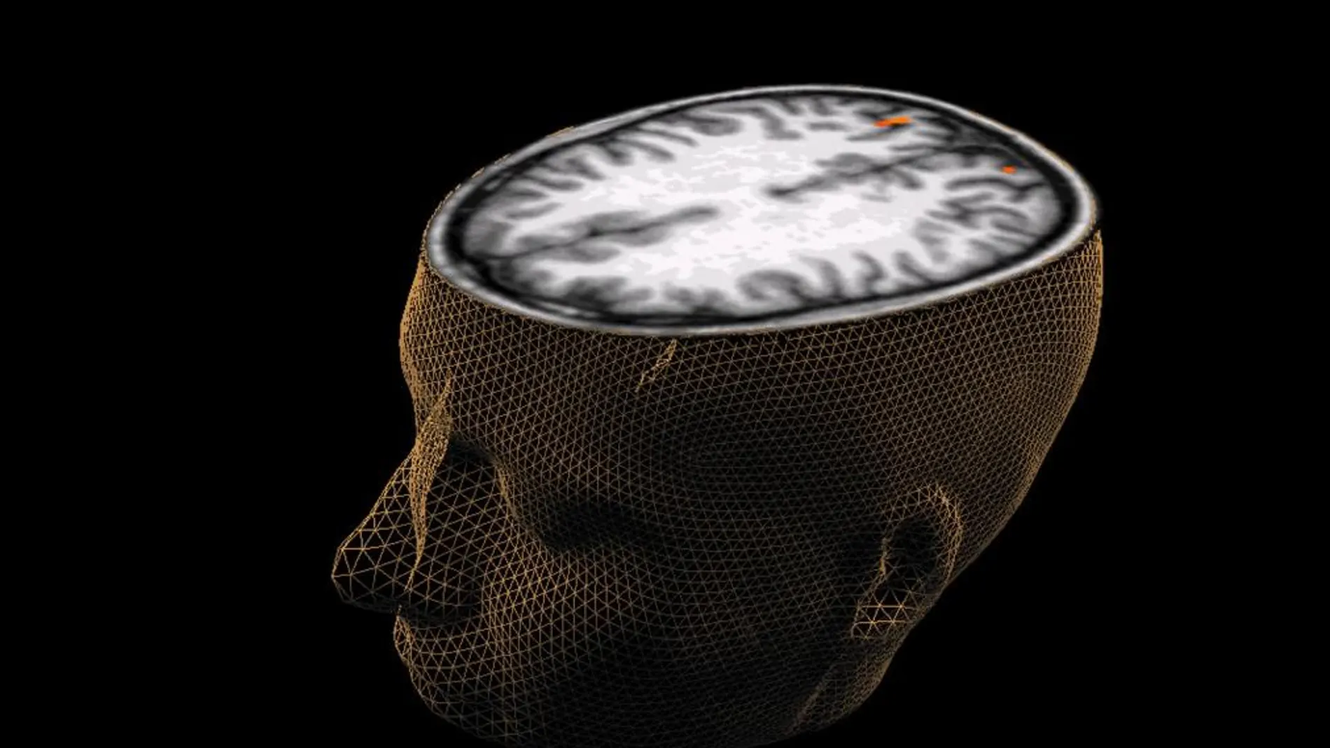 Europa y EEUU se lanzan a la carrera para apoderarse de los secretos del cerebro