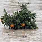 Sequías e inundaciones centrarán el III Congreso Nacional del Agua