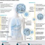 La inmunoterapia se consolida como arma contra el cáncer