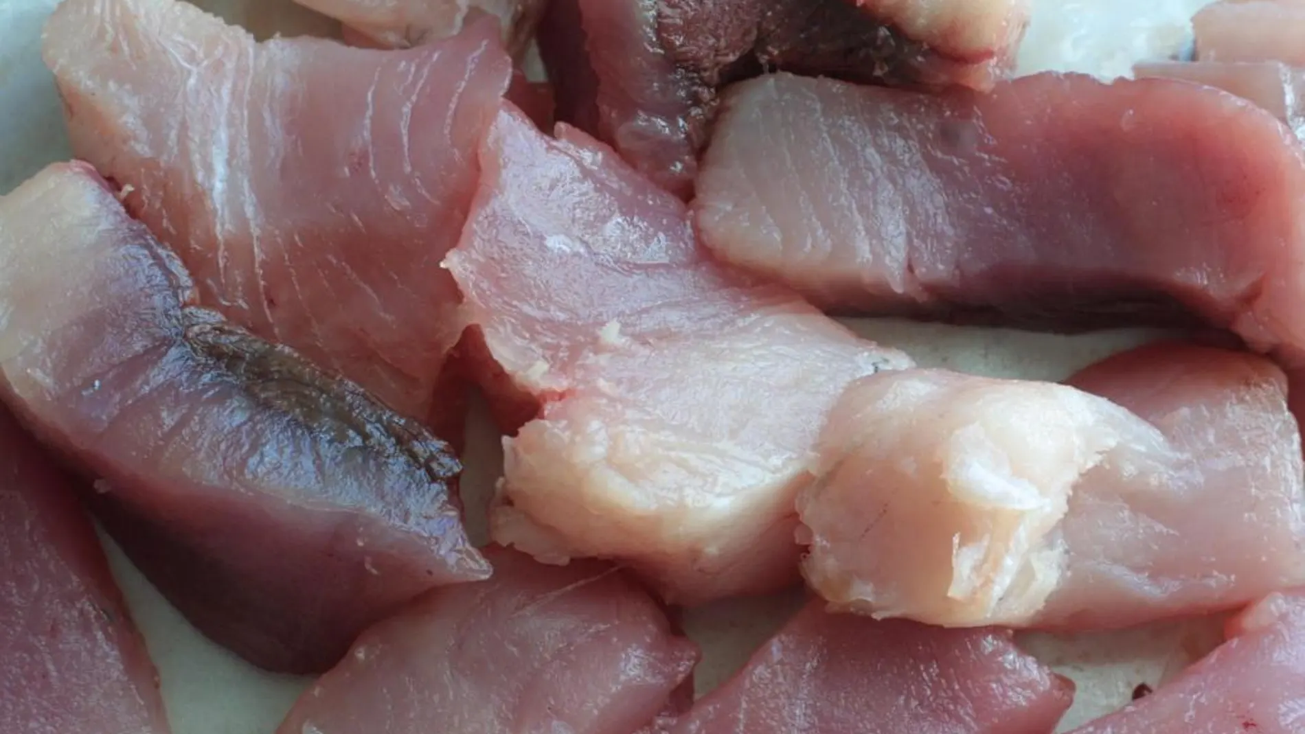 Intoxicadas 21 personas por comer atún fresco en Granada y en Cazorla (Jaén)