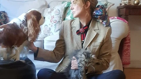 Dime qué mascota tienes y te diré quién eres