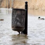 La crecida del río Duero a su paso por Zamora anega los parques de la ribera
