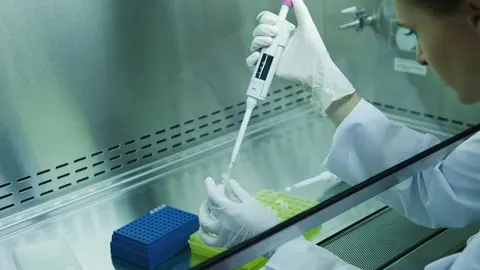 Medicina de precisión: hallar la dosis más efectiva contra el tumor