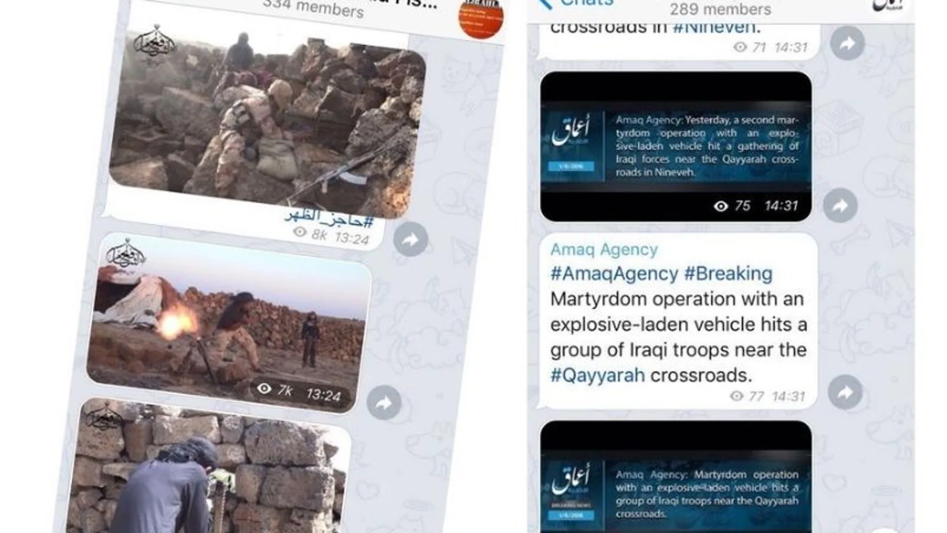 El chat de los islamistas. Capturas de los mensajes intercambiados por terroristas del Estado Islámico