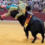 El diestro Cayetano Rivera es cogido en la faena a su primer toro, de Parladé, durante la corrida de la Feria del Pilar de Zaragoza celebrada hoy.
