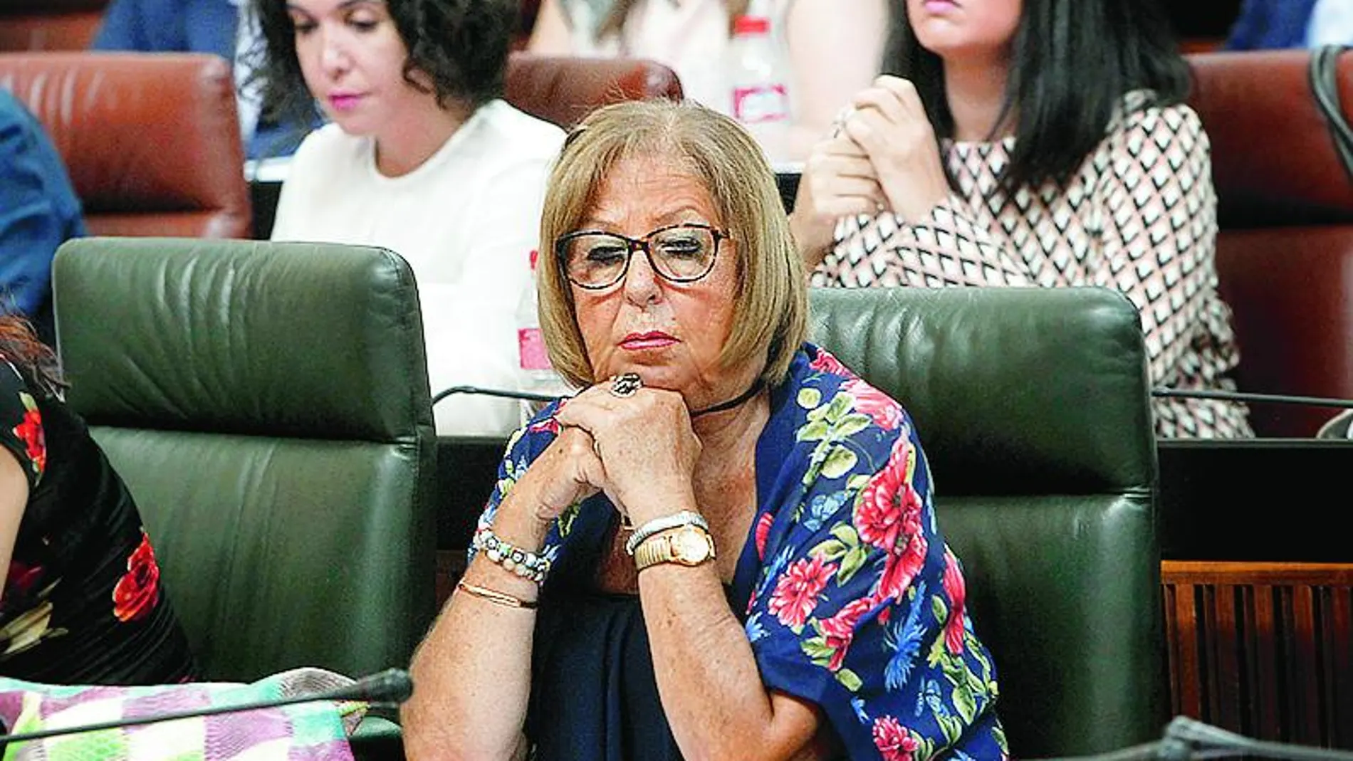 La consejera de Educación, Adelaida de la Calle, ayer en el Parlamento.