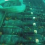 Vinos bajo el mar