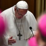 Francisco, en su discurso de hoy | AP