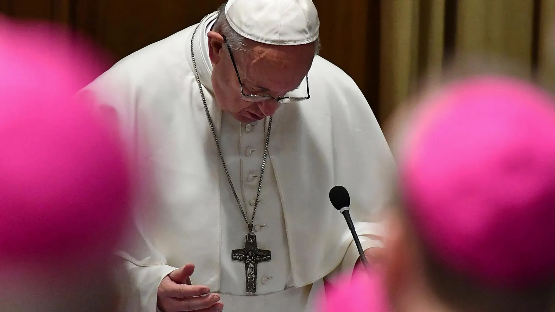 Francisco, en su discurso de hoy | AP