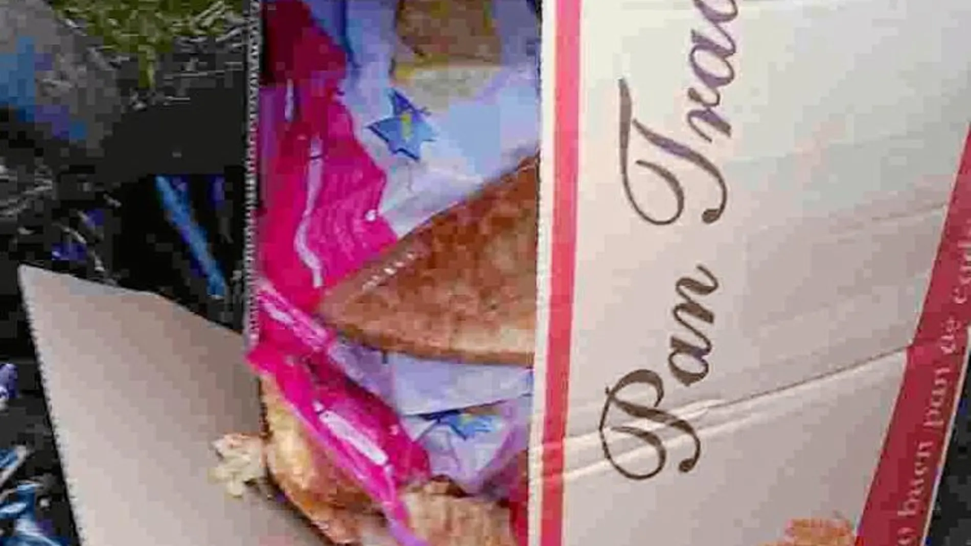 La comida del Catering Brens acabó en la basura del colegio de Burguillos