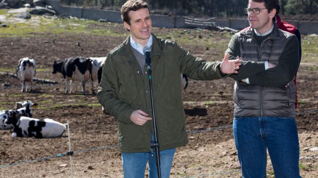El presidente del PP, Pablo Casado, visita una explotación ganadera en Las Navas del Marqués (Ávila), junto al presidente del PP de Castilla y León, Alfonso Fernández Mañueco