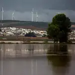  El temporal azota a Málaga y Sevilla