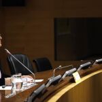 La secretaria de Estado de Economía y Apoyo a la Empresa, Irene Garrido en su comparecencia de hoy