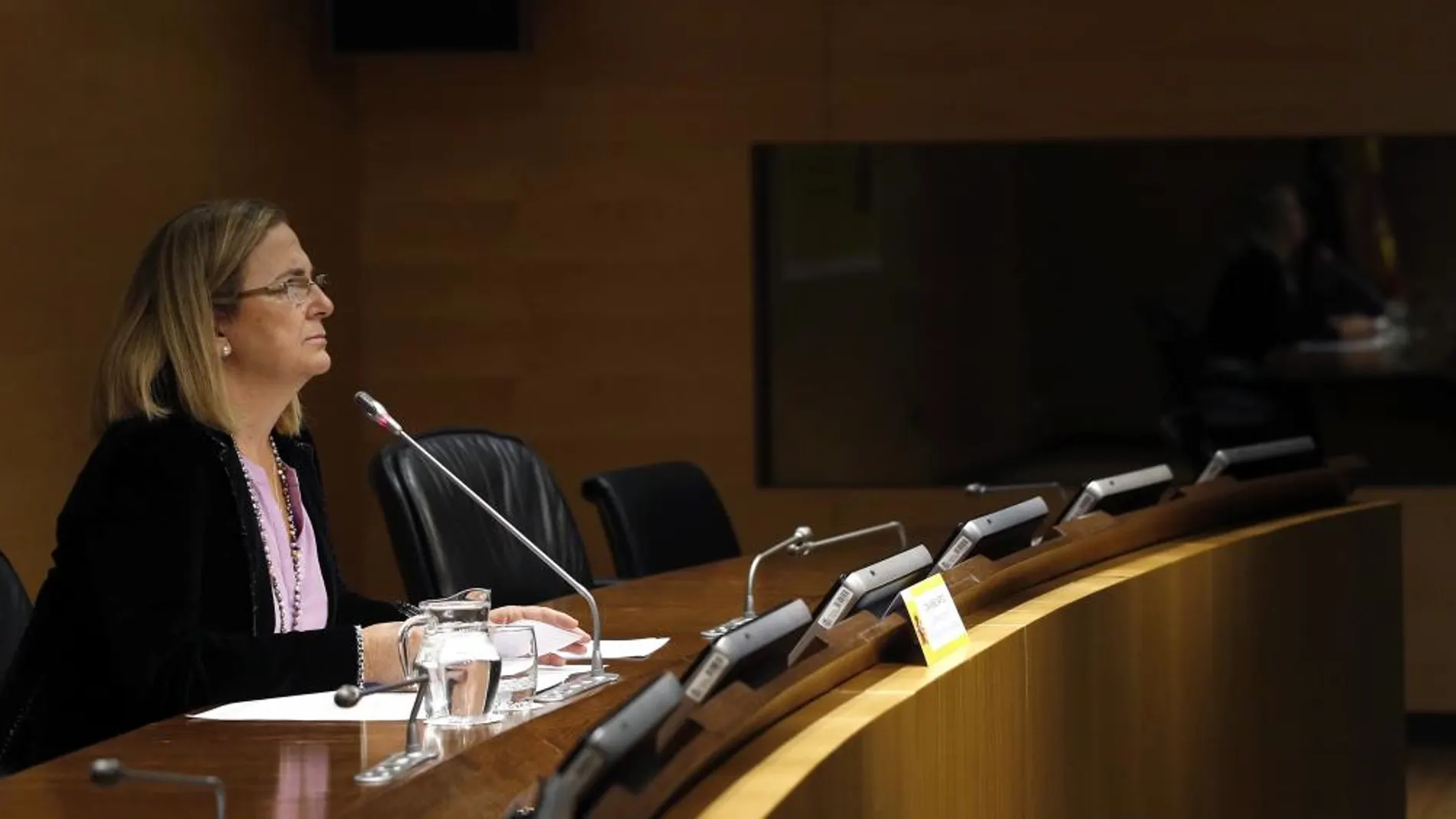 La secretaria de Estado de Economía y Apoyo a la Empresa, Irene Garrido en su comparecencia de hoy