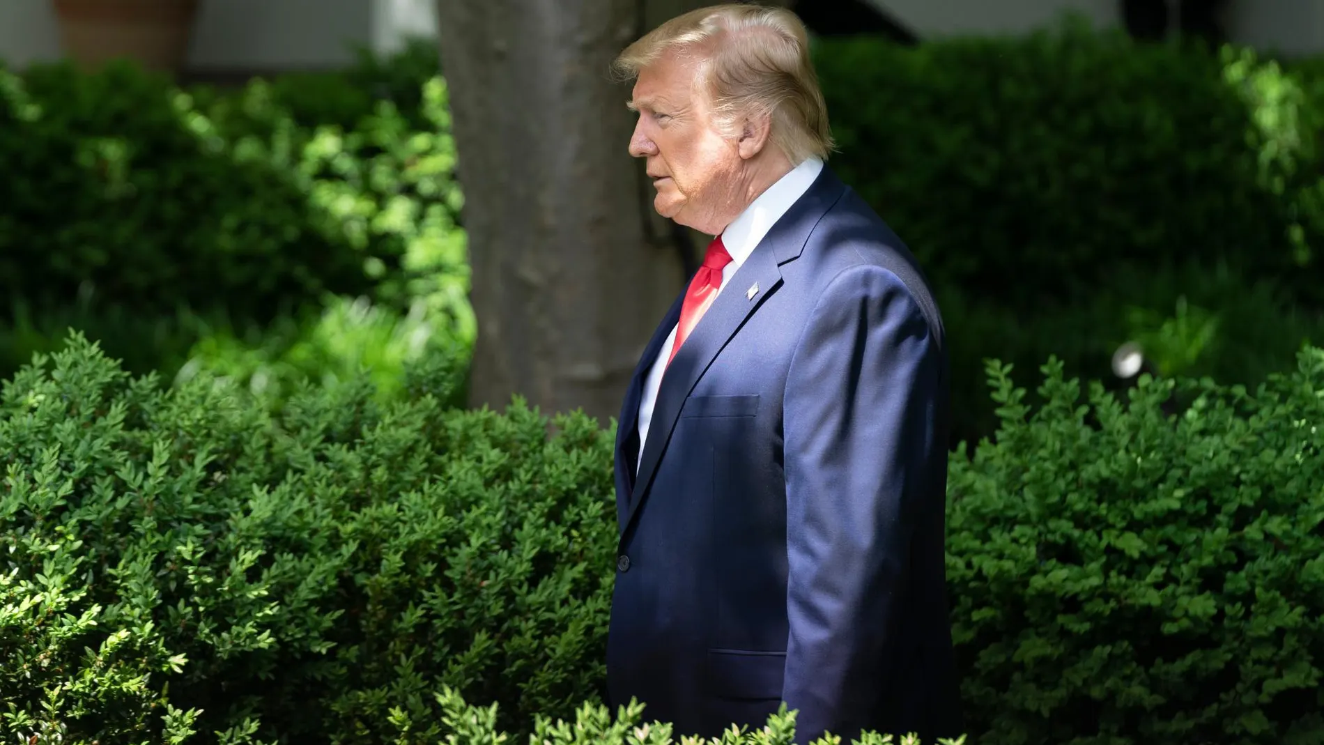 El presidente Donald Trump en el jardín de la Casa Blanca/ Europa Press