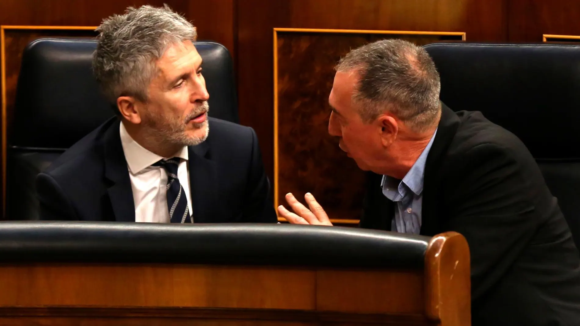 El ministro Marlaska en el Pleno del Congreso