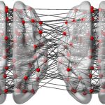 Interacciones logradas entre dos de los cerebros