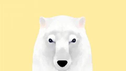 El oso que escribió sus memorias