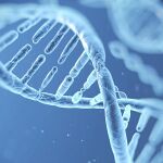 El ADN influye en el modo en que desarrollamos ciertas capacidades físicas