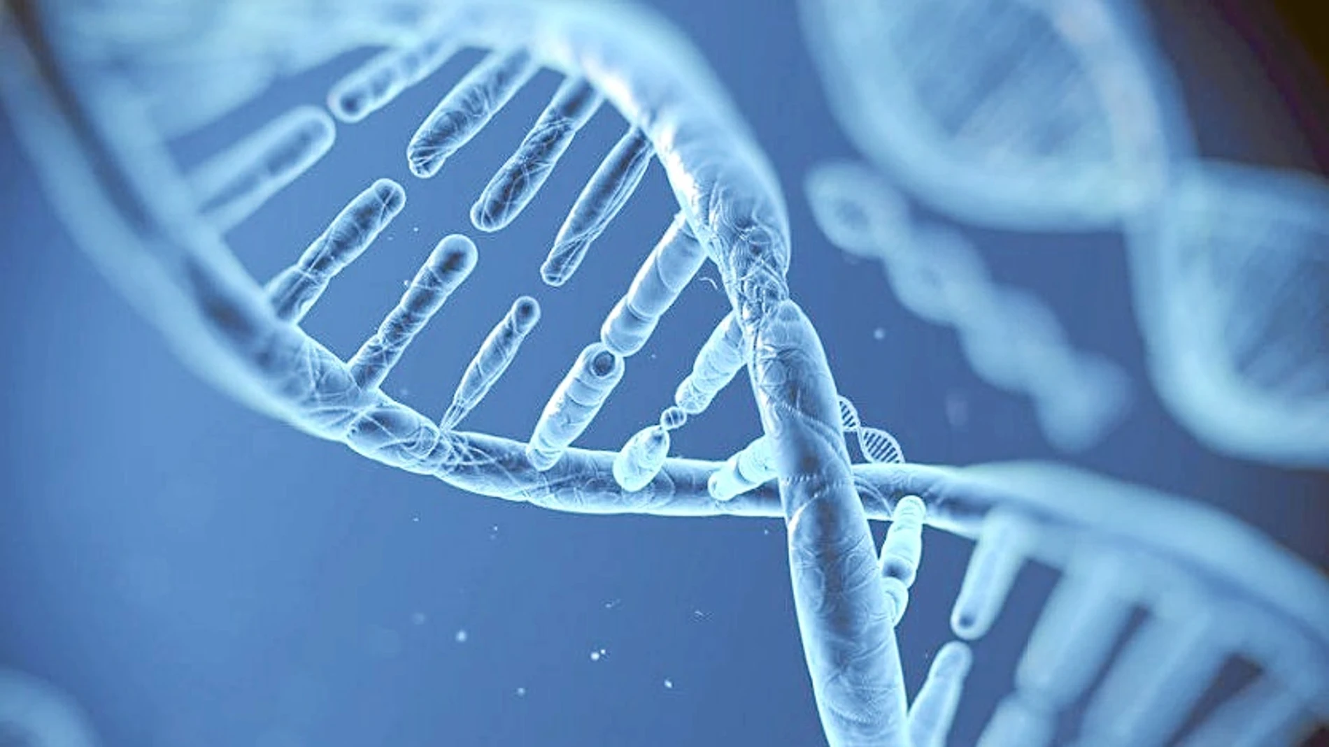 El ADN influye en el modo en que desarrollamos ciertas capacidades físicas