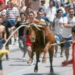 Los toros con cuerda, una de las fiestas taurinas que se celebran en las Tierras del Ebro