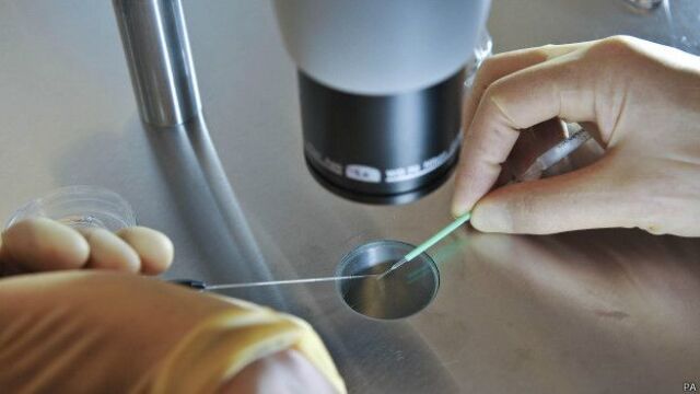 Uno de cada diez bebés nace gracias al «in vitro»