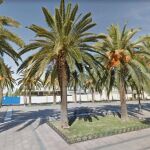 El atropello se produjo en el Paseo de las Palmeras de Bailén