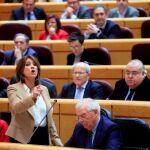 Dolores Delgado el pasado martes en el Senado