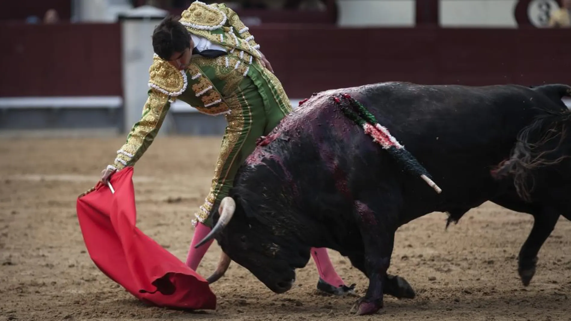 Miguel Ángel Perera somete con la diestra la embestida del de Alcurrucén
