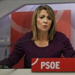Rodríguez-Piñero volverá a defender los intereses del PSOE otros cinco años más en el Parlamento Europeo / Efe