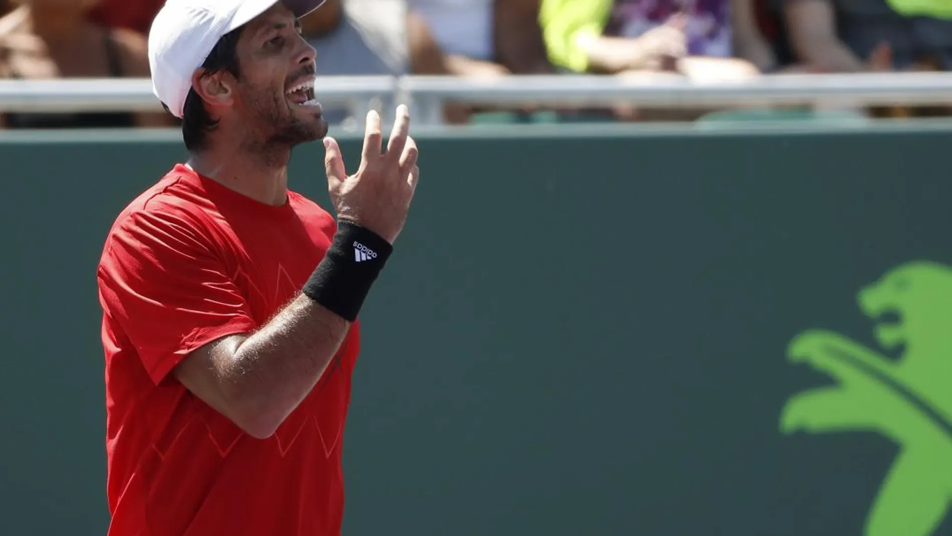 Fernando Verdasco durante el partido