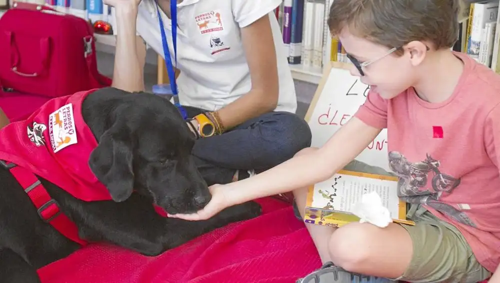 Antes de acercarnos a un perro que no nos conoce, tenemos que presentarnos adecuadamente. Y en el mundo canino, eso se hace con el olfato