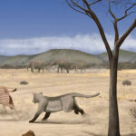 Madrid estaba ocupado por una árida sabana hace 14 millones de años