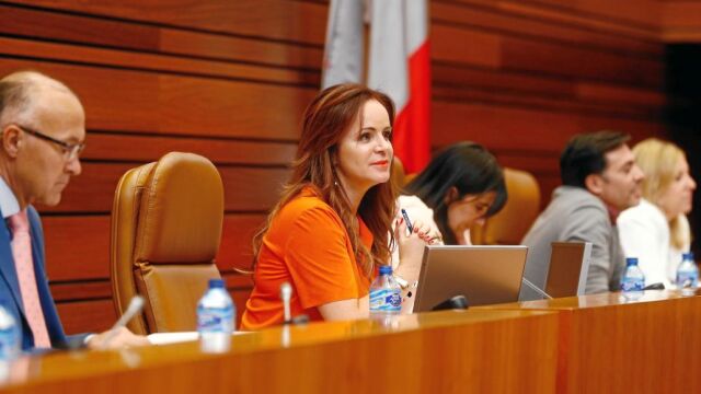 La presidenta de las Cortes regionales, Silvia Clemente, durante el último pleno