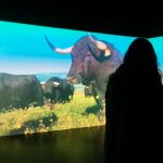 Imagen de la realidad virtual en la Monumental de Las Ventas