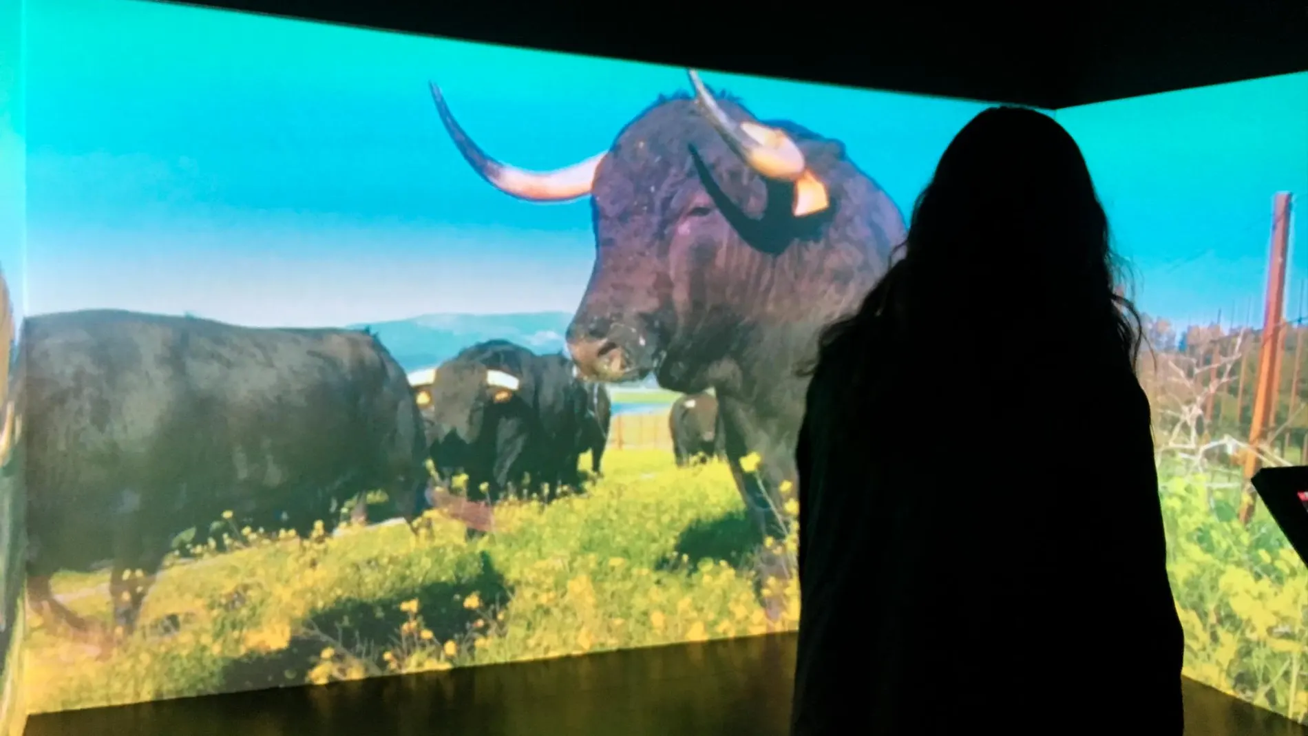 Imagen de la realidad virtual en la Monumental de Las Ventas